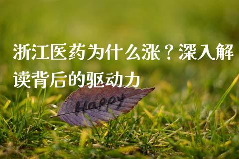 浙江医药为什么涨？深入解读背后的驱动力_https://www.zcsm.com.cn_期货行情_第1张
