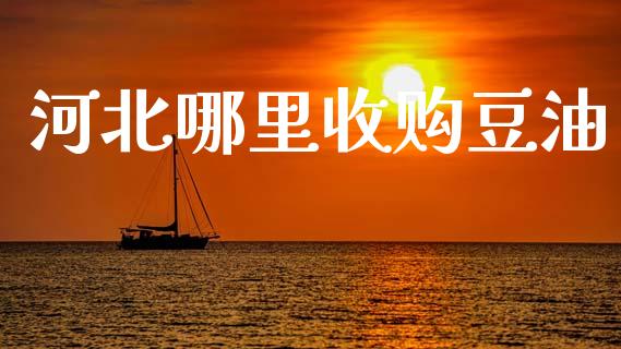 河北哪里收购豆油_https://www.zcsm.com.cn_期货培训_第1张