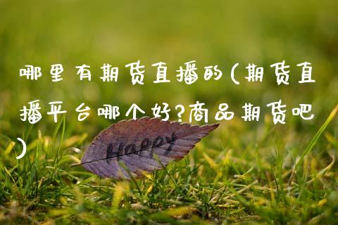 哪里有期货直播的(期货直播平台哪个好?商品期货吧)_https://www.zcsm.com.cn_期货行情_第1张