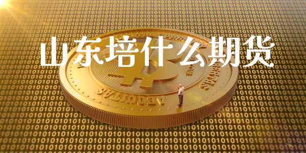 山东培什么期货_期货交易_第1张_期货百科_期货喊单_期货行情_期货交易_原油期货_期货培训 山东培什么期货_https://www.zcsm.com.cn_期货交易_第1张