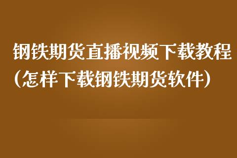 钢铁期货直播视频下载教程(怎样下载钢铁期货软件)_https://www.zcsm.com.cn_期货行情_第1张