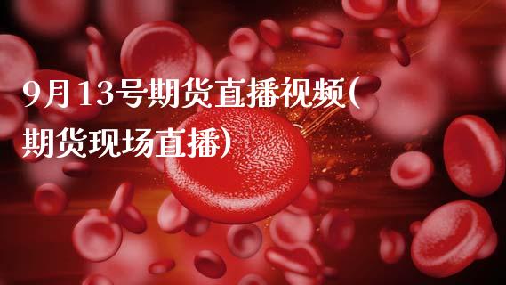 9月13号期货直播视频(期货现场直播)_https://www.zcsm.com.cn_期货百科_第1张
