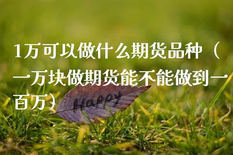 1万可以做什么期货品种（一万块做期货能不能做到一百万）_https://www.zcsm.com.cn_期货百科_第1张