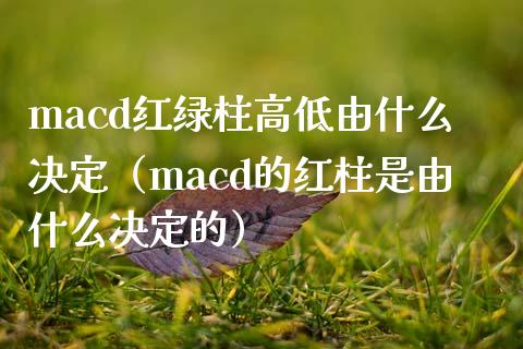 macd红绿柱高低由什么决定（macd的红柱是由什么决定的）_https://www.zcsm.com.cn_期货培训_第1张