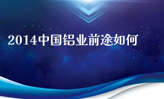 2014中国铝业前途如何_https://www.zcsm.com.cn_原油期货_第1张