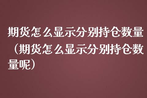 期货怎么显示分别持仓数量（期货怎么显示分别持仓数量呢）_https://www.zcsm.com.cn_期货交易_第1张