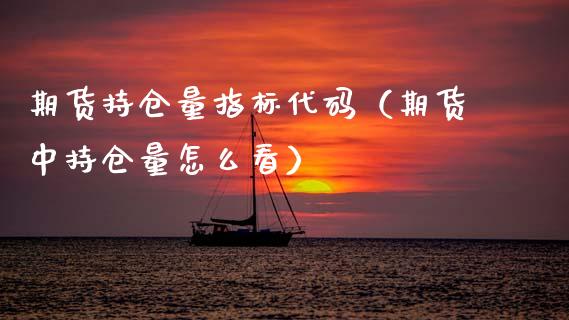 期货持仓量指标代码（期货中持仓量怎么看）_https://www.zcsm.com.cn_期货交易_第1张