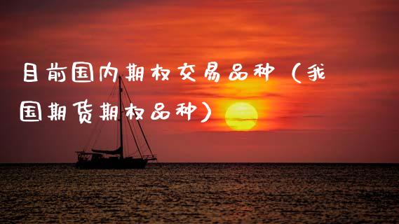 目前国内期权交易品种（我国期货期权品种）_https://www.zcsm.com.cn_期货喊单_第1张