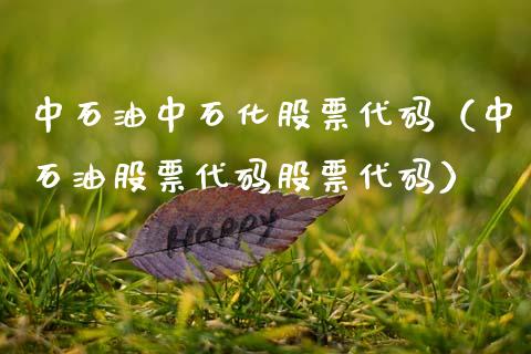 中石油中石化股票代码（中石油股票代码股票代码）_https://www.zcsm.com.cn_原油期货_第1张
