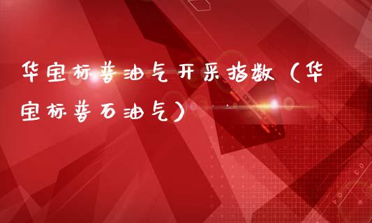 华宝标普油气开采指数（华宝标普石油气）_https://www.zcsm.com.cn_原油期货_第1张