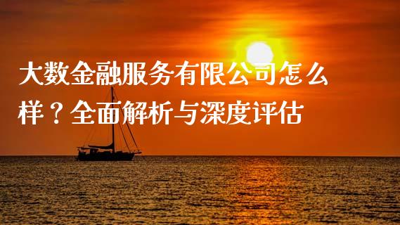 大数金融服务有限公司怎么样？全面解析与深度评估_https://www.zcsm.com.cn_原油期货_第1张