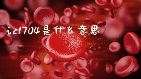 ic1704是什么意思_https://www.zcsm.com.cn_期货行情_第1张