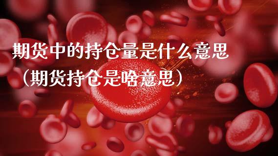 期货中的持仓量是什么意思（期货持仓是啥意思）_https://www.zcsm.com.cn_期货交易_第1张