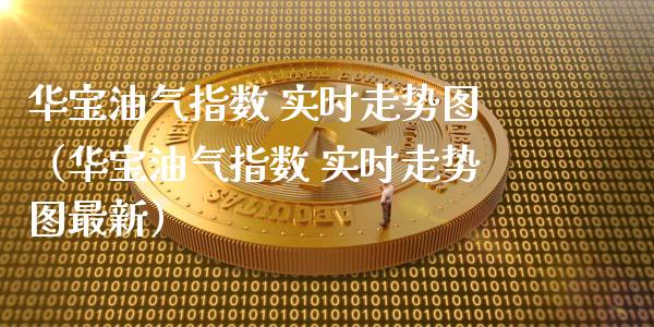 华宝油气指数 实时走势图（华宝油气指数 实时走势图最新）_https://www.zcsm.com.cn_原油期货_第1张