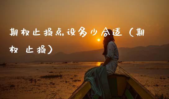 期权止损点设多少合适（期权 止损）_https://www.zcsm.com.cn_期货交易_第1张