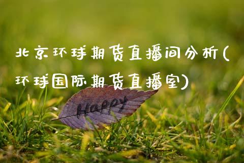 北京环球期货直播间分析(环球国际期货直播室)_https://www.zcsm.com.cn_期货培训_第1张