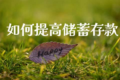 如何提高储蓄存款_https://www.zcsm.com.cn_期货喊单_第1张