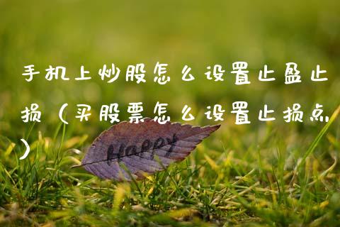 手机上炒股怎么设置止盈止损（买股票怎么设置止损点）_https://www.zcsm.com.cn_期货交易_第1张