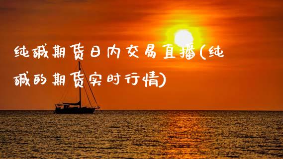 纯碱期货日内交易直播(纯碱的期货实时行情)_https://www.zcsm.com.cn_期货行情_第1张