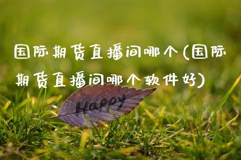 国际期货直播间哪个(国际期货直播间哪个软件好)_https://www.zcsm.com.cn_期货行情_第1张