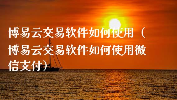 博易云交易软件如何使用（博易云交易软件如何使用微信支付）_https://www.zcsm.com.cn_原油期货_第1张