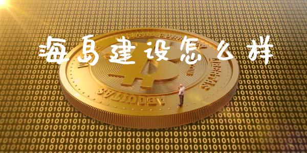 海岛建设怎么样_https://www.zcsm.com.cn_期货培训_第1张