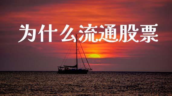 为什么流通股票_https://www.zcsm.com.cn_原油期货_第1张