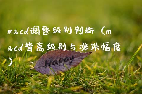 macd调整级别判断（macd背离级别与涨跌幅度）_https://www.zcsm.com.cn_期货培训_第1张