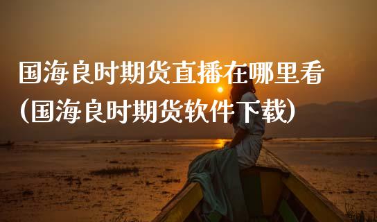 国海良时期货直播在哪里看(国海良时期货软件下载)_https://www.zcsm.com.cn_期货百科_第1张
