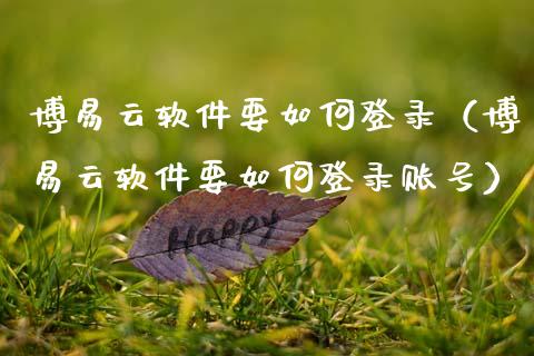 博易云软件要如何登录（博易云软件要如何登录账号）_https://www.zcsm.com.cn_原油期货_第1张