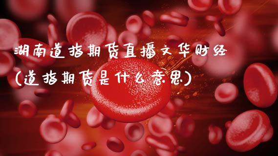 湖南道指期货直播文华财经(道指期货是什么意思)_https://www.zcsm.com.cn_期货培训_第1张