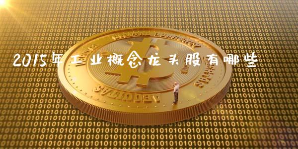 2015年工业概念龙头股有哪些_期货百科_第1张_期货百科_期货喊单_期货行情_期货交易_原油期货_期货培训 2015年工业概念龙头股有哪些_https://www.zcsm.com.cn_期货百科_第1张