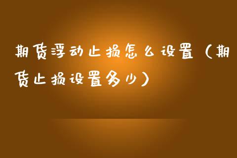 期货浮动止损怎么设置（期货止损设置多少）_https://www.zcsm.com.cn_期货交易_第1张