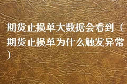 期货止损单大数据会看到（期货止损单为什么触发异常）_https://www.zcsm.com.cn_期货交易_第1张
