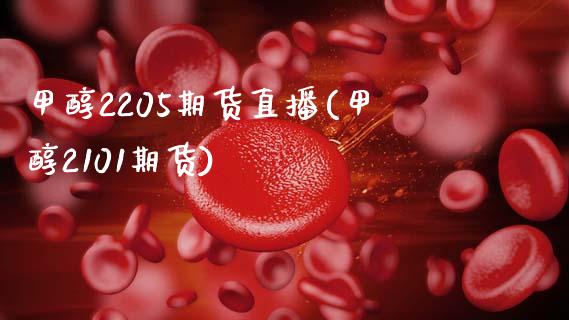甲醇2205期货直播(甲醇2101期货)_https://www.zcsm.com.cn_期货培训_第1张
