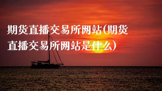 期货直播交易所网站(期货直播交易所网站是什么)_https://www.zcsm.com.cn_期货百科_第1张
