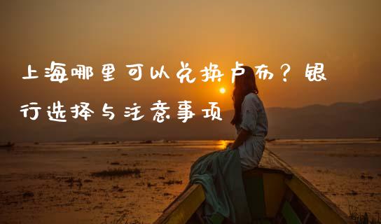 上海哪里可以兑换卢布？银行选择与注意事项_https://www.zcsm.com.cn_期货百科_第1张