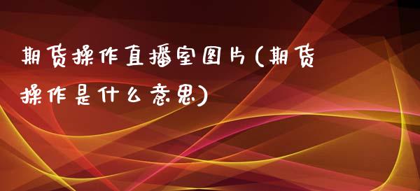 期货操作直播室图片(期货操作是什么意思)_https://www.zcsm.com.cn_期货喊单_第1张