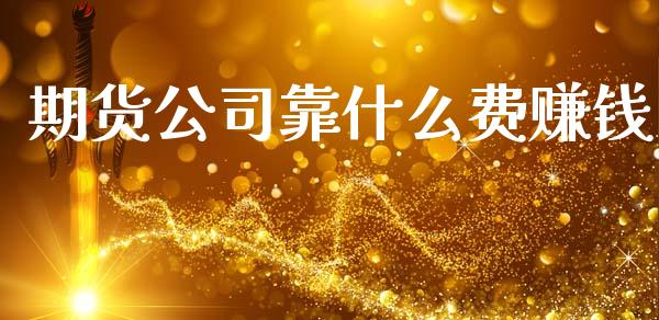 期货公司靠什么费赚钱_https://www.zcsm.com.cn_期货喊单_第1张