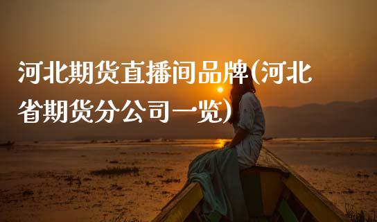 河北期货直播间品牌(河北省期货分公司一览)_https://www.zcsm.com.cn_原油期货_第1张