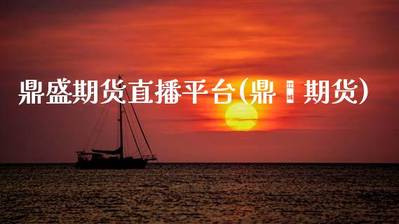 鼎盛期货直播平台(鼎鑫期货)_https://www.zcsm.com.cn_期货喊单_第1张