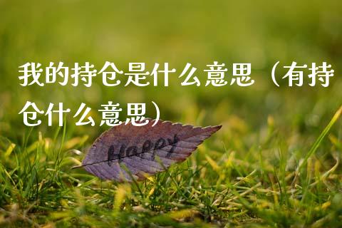 我的持仓是什么意思（有持仓什么意思）_https://www.zcsm.com.cn_期货交易_第1张