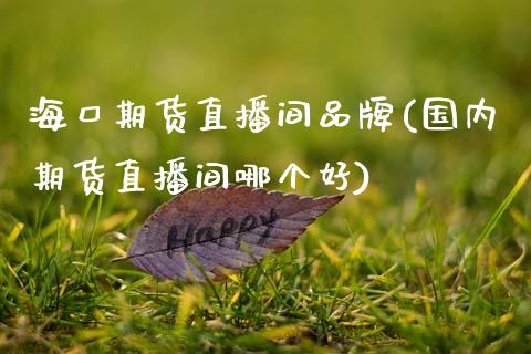 海口期货直播间品牌(国内期货直播间哪个好)_https://www.zcsm.com.cn_期货培训_第1张