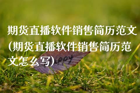 期货直播软件销售简历范文(期货直播软件销售简历范文怎么写)_https://www.zcsm.com.cn_期货培训_第1张