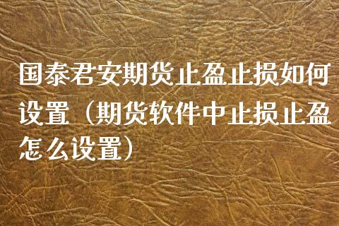国泰君安期货止盈止损如何设置（期货软件中止损止盈怎么设置）_https://www.zcsm.com.cn_期货交易_第1张