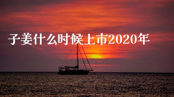 子姜什么时候上市2020年_期货百科_第1张_期货百科_期货喊单_期货行情_期货交易_原油期货_期货培训 子姜什么时候上市2020年_https://www.zcsm.com.cn_期货百科_第1张