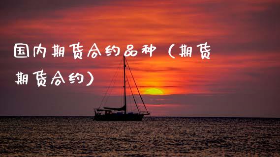 国内期货合约品种（期货 期货合约）_https://www.zcsm.com.cn_期货喊单_第1张
