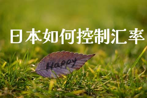 日本如何控制汇率_https://www.zcsm.com.cn_原油期货_第1张