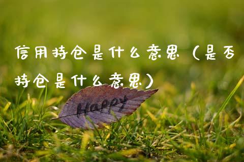 信用持仓是什么意思（是否持仓是什么意思）_https://www.zcsm.com.cn_期货交易_第1张