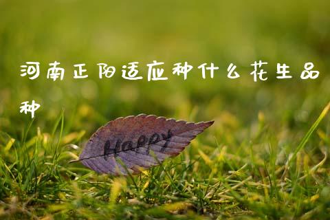 河南正阳适应种什么花生品种_https://www.zcsm.com.cn_期货交易_第1张